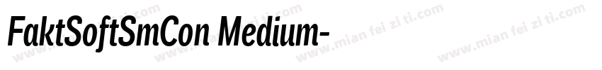 FaktSoftSmCon Medium字体转换